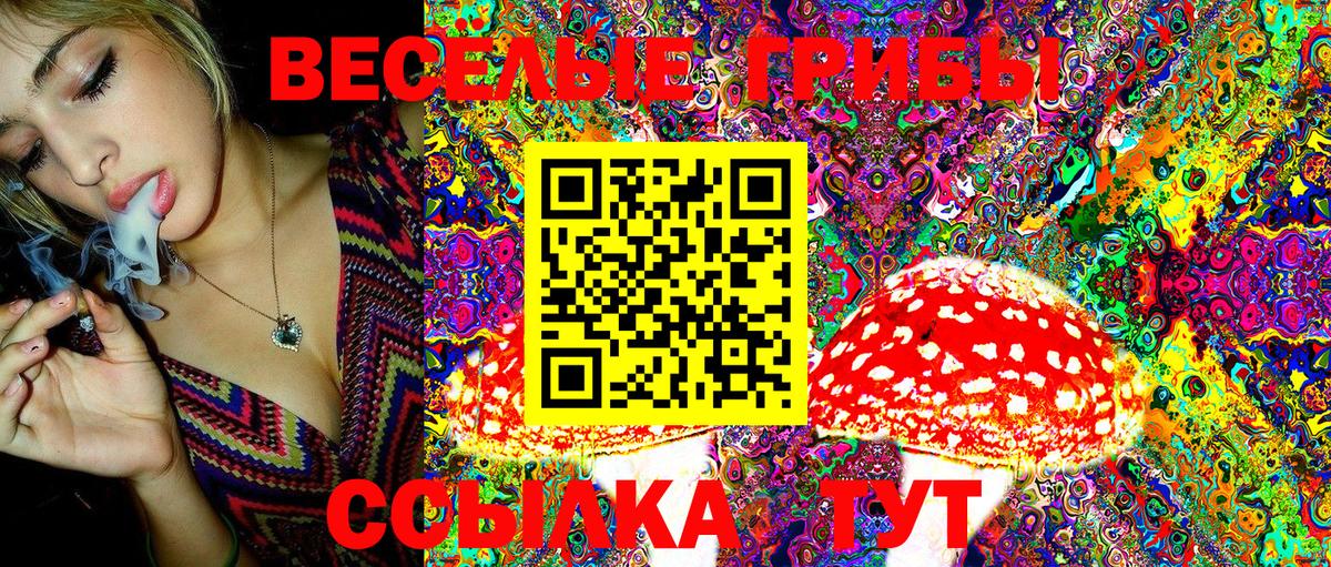 Псилоцибиновые грибы Cubensis Первоуральск